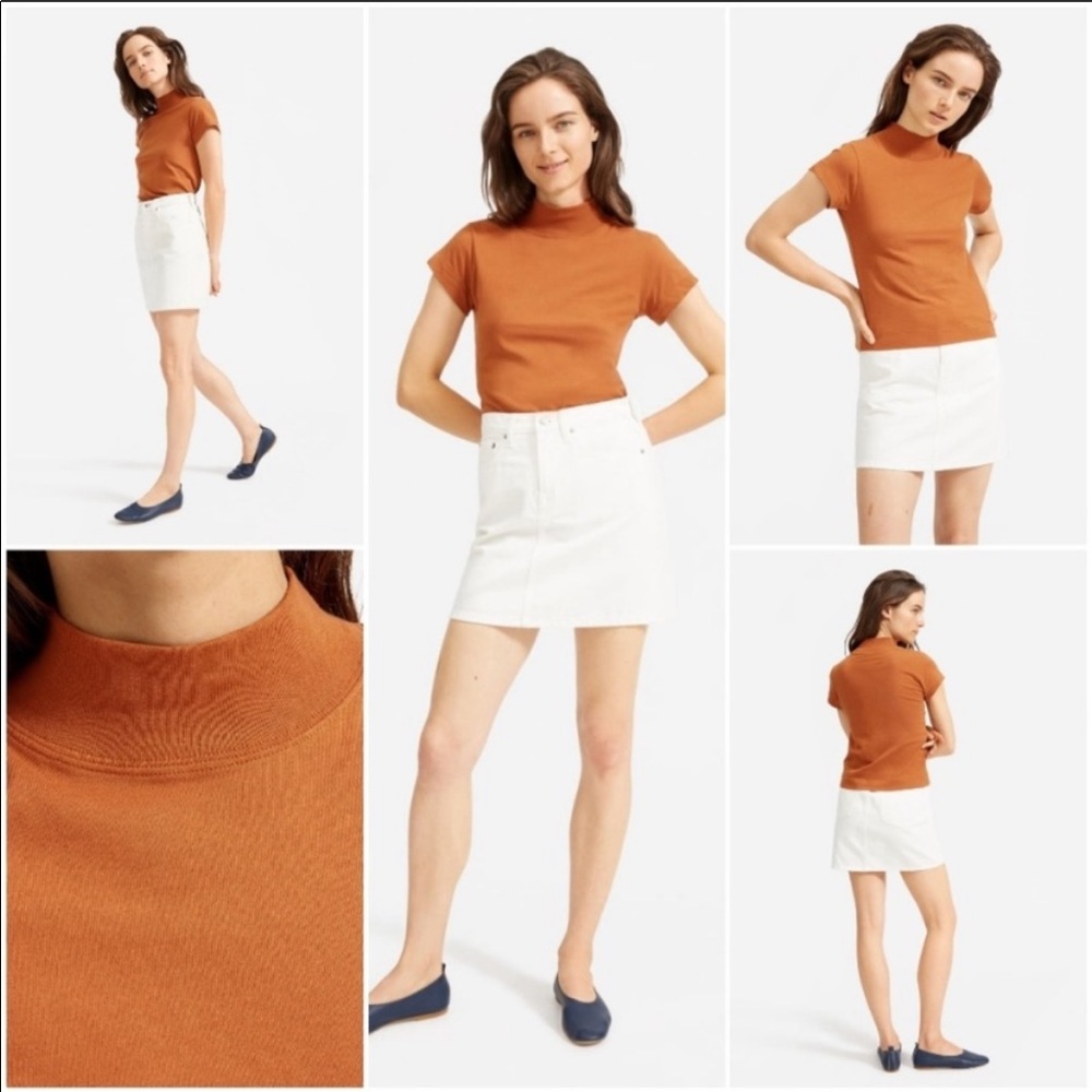 Everlane short sleeve turtleneck tee